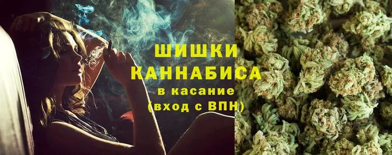 Конопля OG Kush  Далматово 